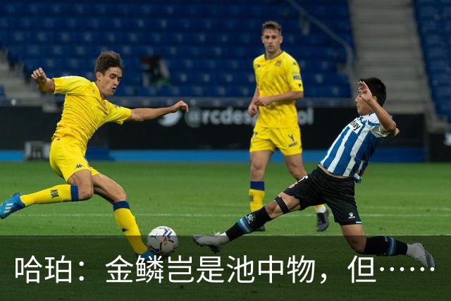哈珀：金鳞岂是池中物，但……